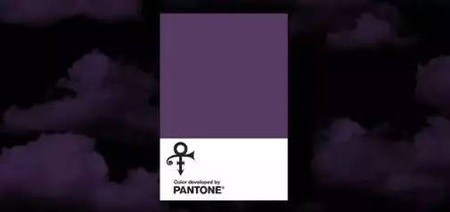 PANTONE的色板上又多了一种紫色