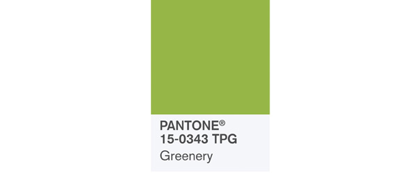 PANTONE2017年度代表色 – 草木绿