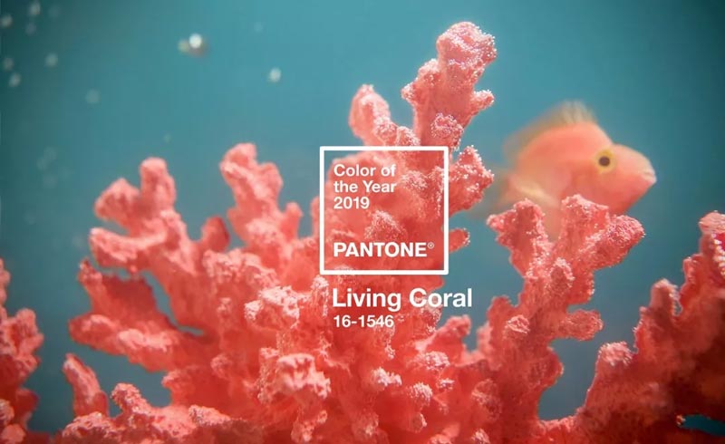 PANTONE潘通发布2019年代表色/流行色：PANTONE 16-1546 Living Coral活珊瑚橘